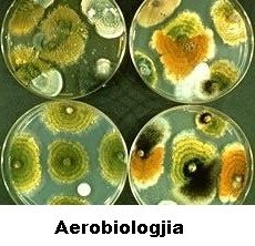 Aerobiologjia[1]